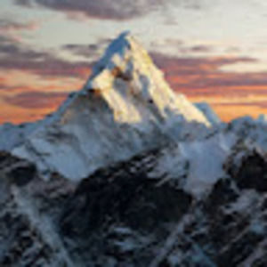 Meet your Posher, Hailey